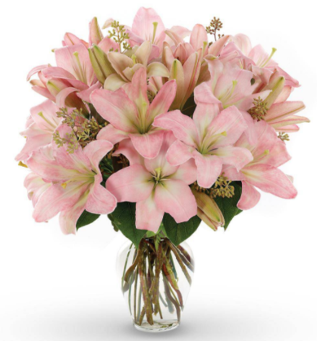 百合花不同颜色花语意义与象征